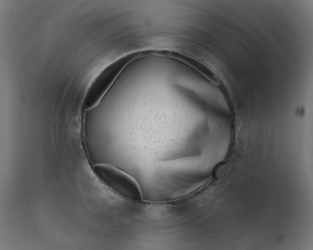 X0000111500944200907281248