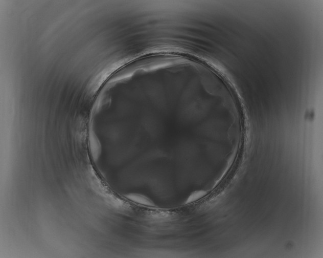 X0000111500945200907281248