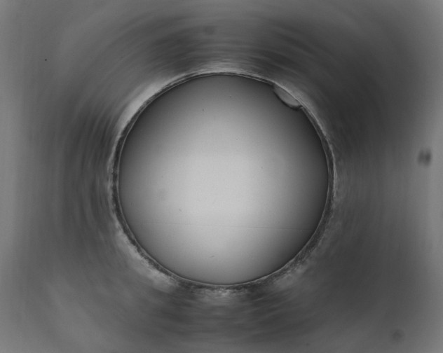 X0000111500949200907281248