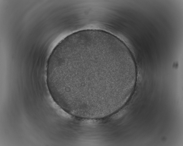 X0000111500950200907281248