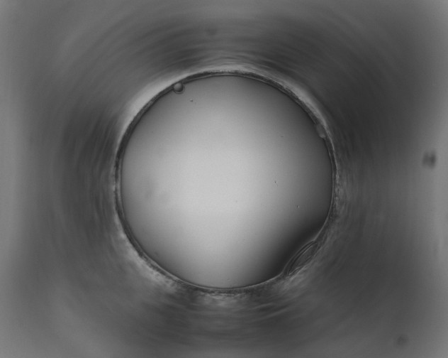 X0000111500951200907281248