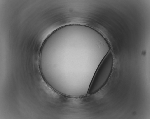 X0000111500952200907281248