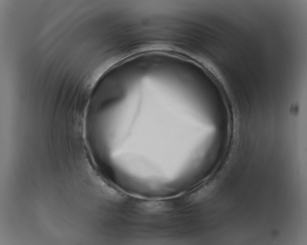 X0000111500953200907281248