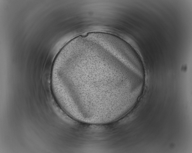 X0000111500954200907281248