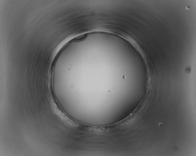 X0000111500955200907281248