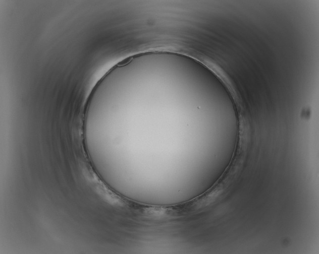 X0000111500956200907281248