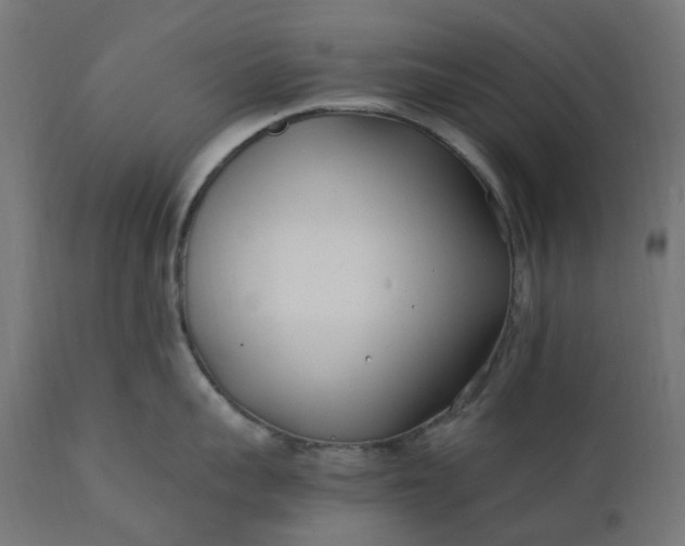 X0000111500959200907281248