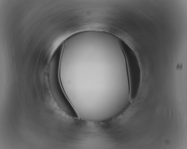 X0000111500960200907281248