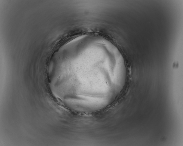 X0000111500961200907281247