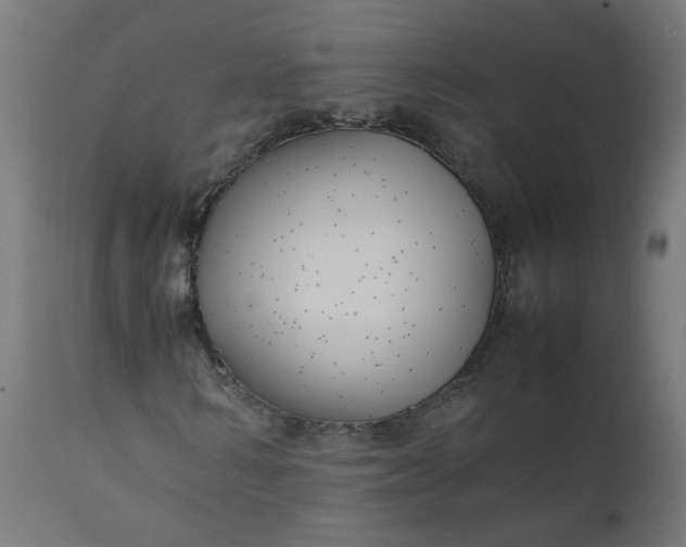 X0000111500962200907281247