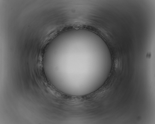 X0000111500964200907281247