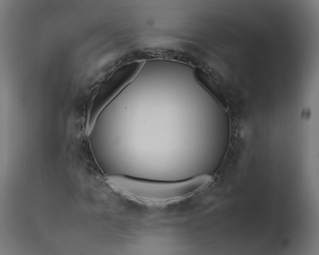 X0000111500965200907281247