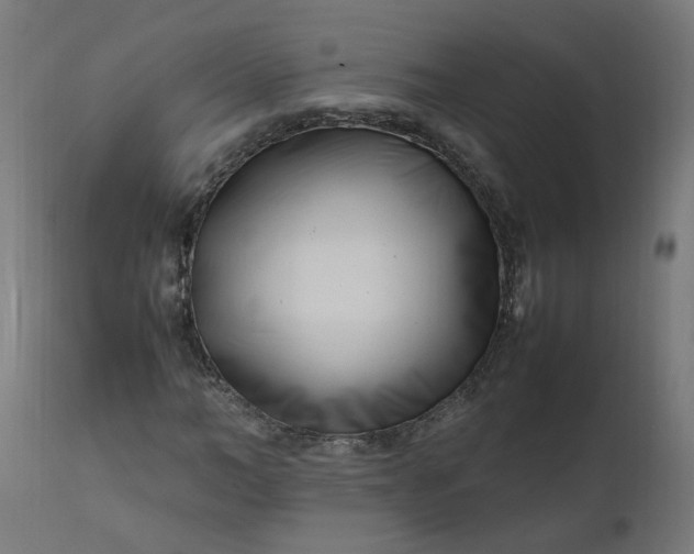 X0000111500966200907281247