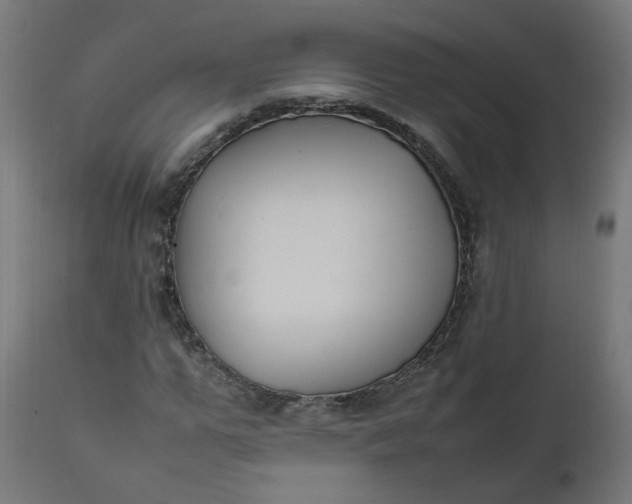 X0000111500967200907281247