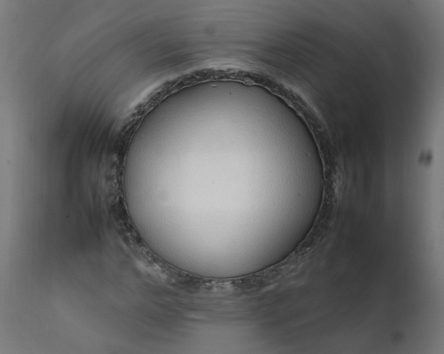 X0000111500968200907281247