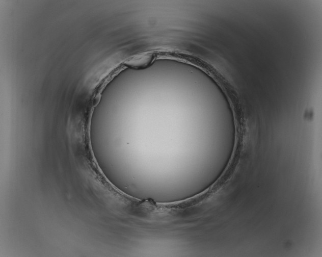 X0000111500969200907281247