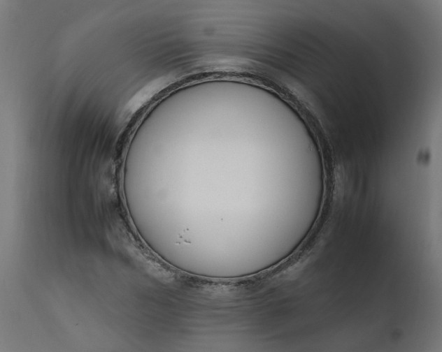 X0000111500970200907281247