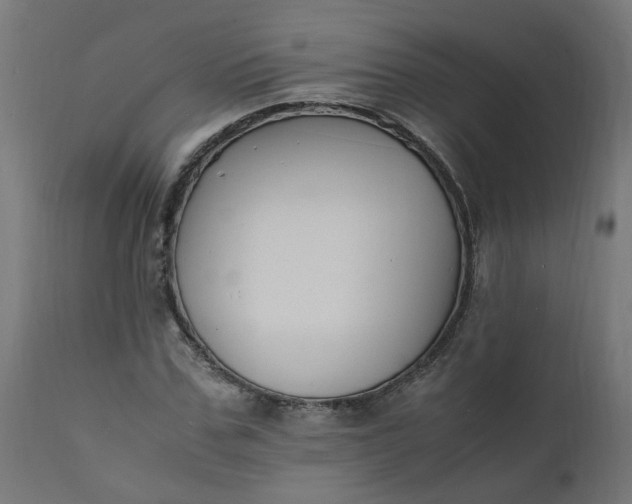 X0000111500971200907281247