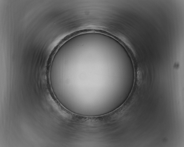 X0000111500972200907281247