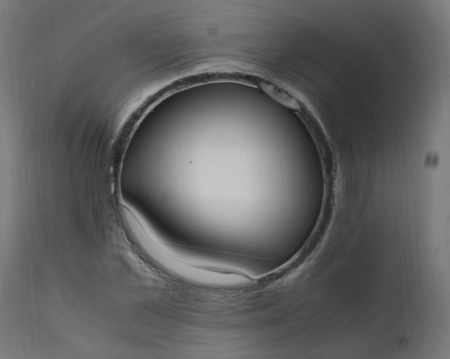 X0000111500973200907281247