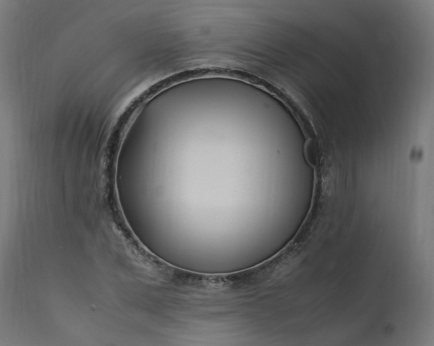 X0000111500975200907281247