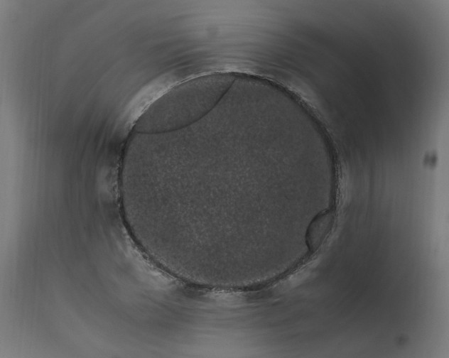 X0000111500977200907281247