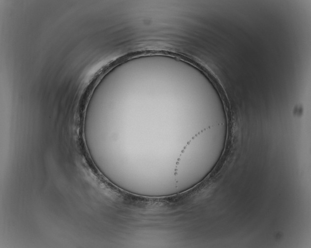 X0000111500979200907281247