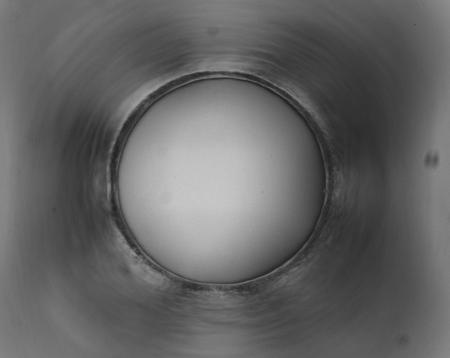 X0000111500980200907281247