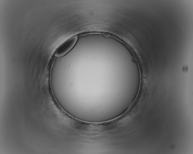 X0000111500981200907281247