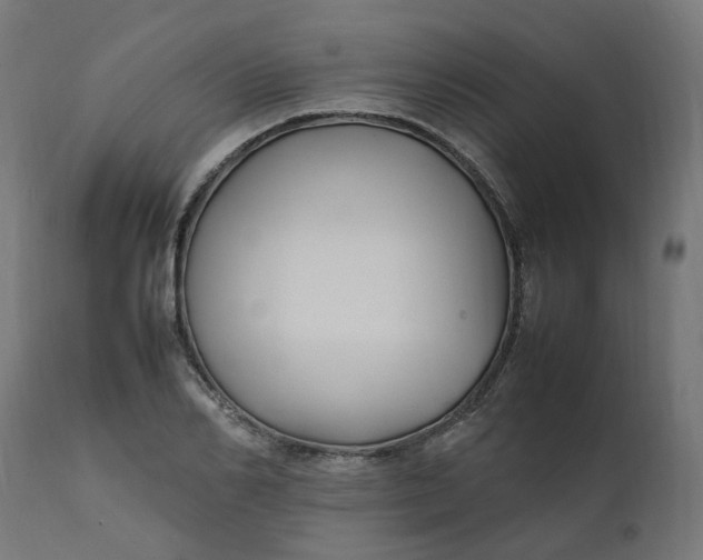 X0000111500982200907281247