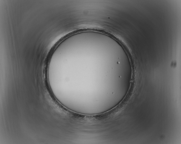 X0000111500983200907281247