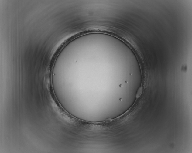 X0000111500984200907281247