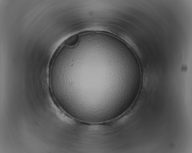 X0000111500988200907281247