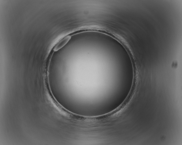 X0000111500989200907281247