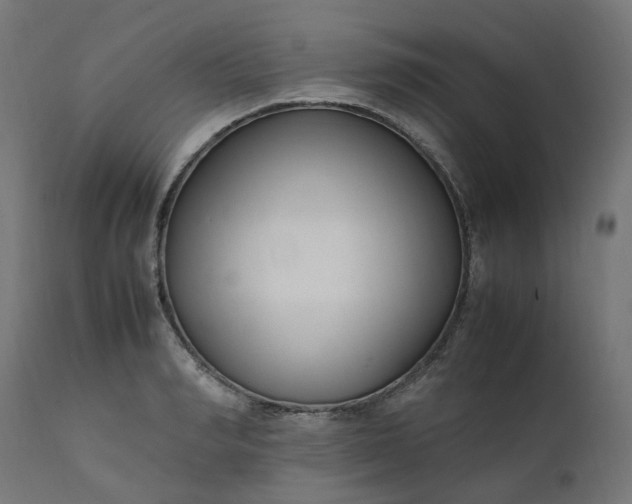 X0000111500990200907281247