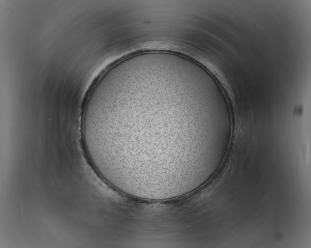 X0000111500992200907281247