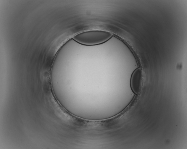 X0000111500993200907281247