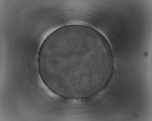 X0000111500995200907281247