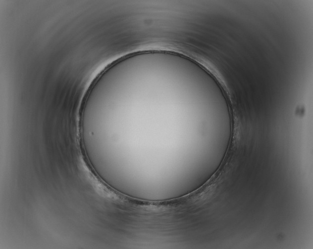 X0000111500996200907281247