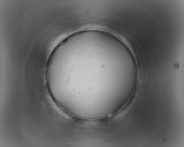 X0000111500997200907281247