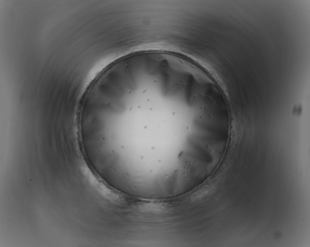 X0000111500998200907281247