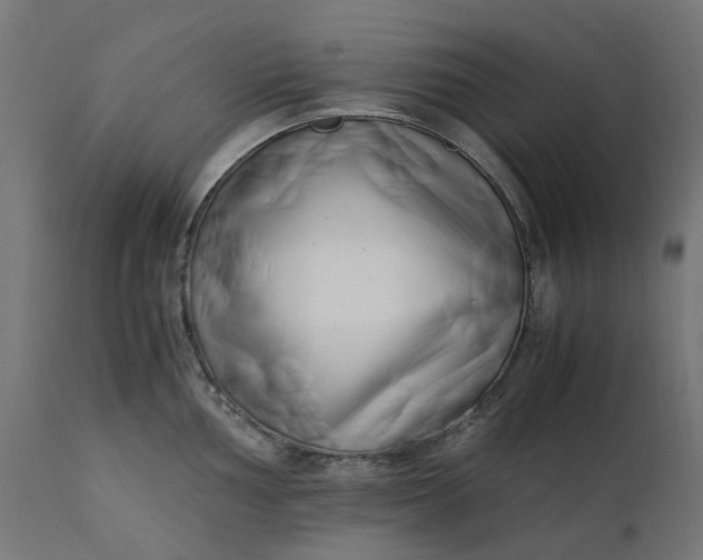 X0000111501002200907281247