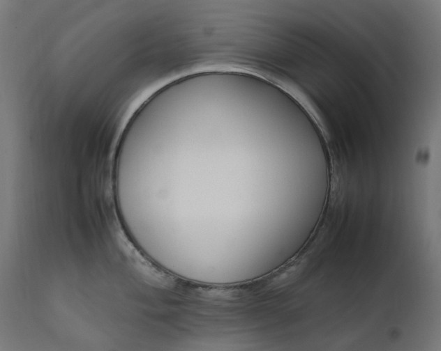 X0000111501004200907281247