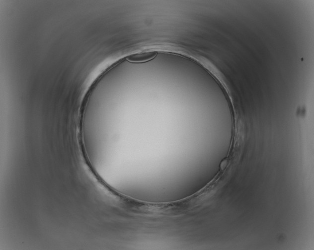 X0000111501005200907281247