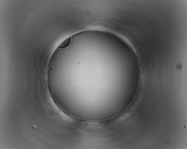 X0000111501007200907281247