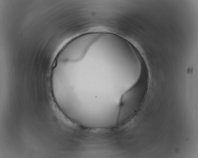 X0000111501008200907281247