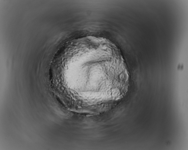 X0000111501009200907281246