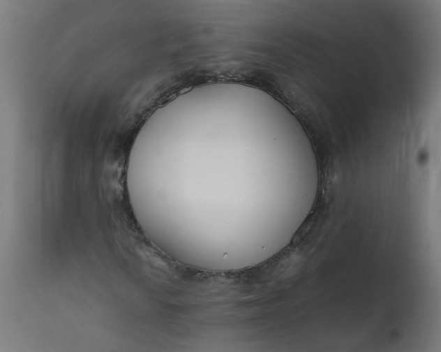 X0000111501010200907281246