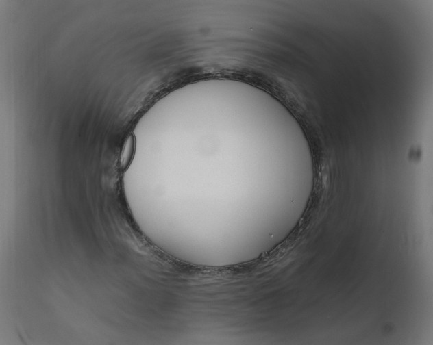 X0000111501012200907281246