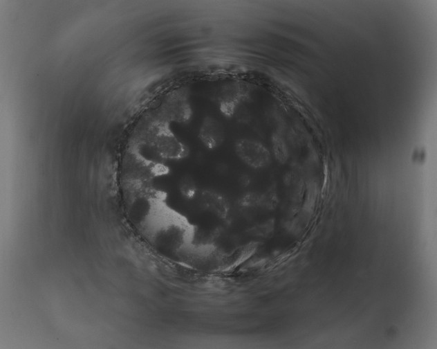 X0000111501013200907281246